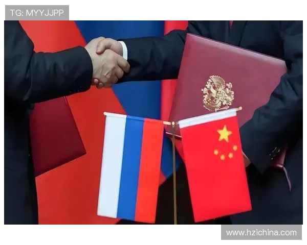 新普京官网：普京领导下的俄罗斯经济发展新趋势