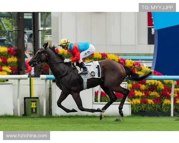 hkjc网娱乐：香港赛马会在线娱乐平台常见问题解答与客服支持服务指南