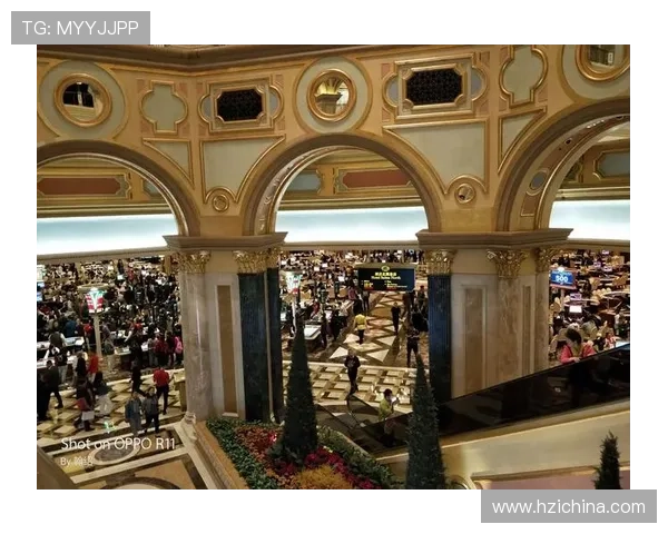 威尼斯葡京网站注册流程与新手攻略全方位指导快速上手