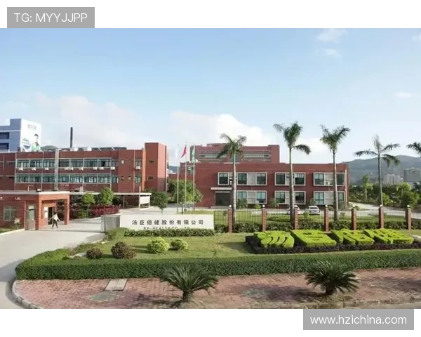 新濠国际发展有限公司官网全面介绍企业最新动态与发展战略,助力投资者把握行业机遇